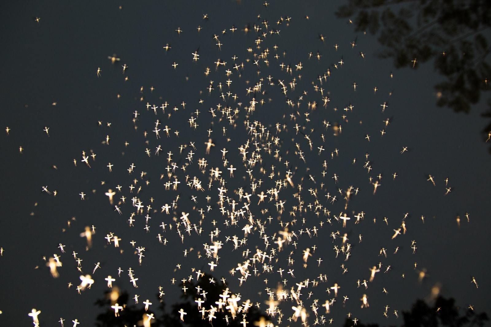 © Anupam Diwan, from the series Fireflies