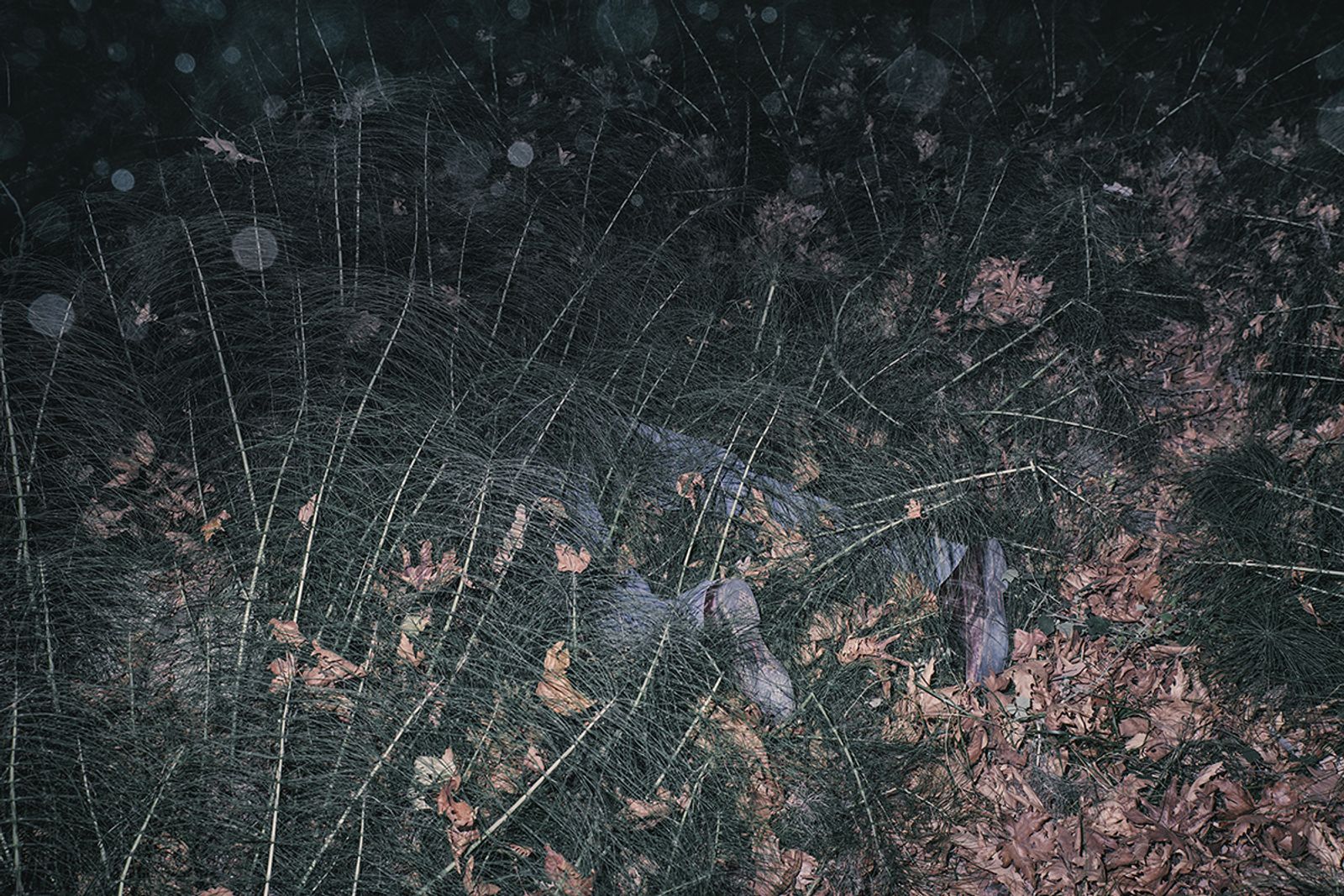 © Yorgos Yatromanolakis, from the series The Splitting of the Chrysalis & the Slow Unfolding of the Wings