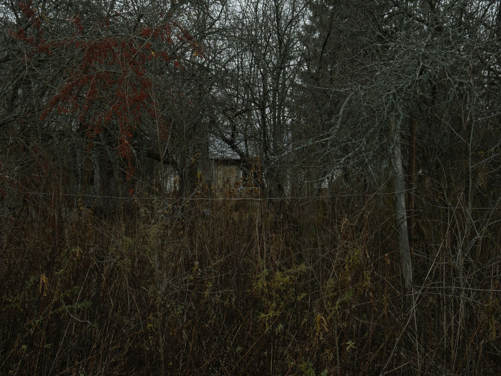 © Elena Taganova - Image from the Shadows of the Summer Wind photography project