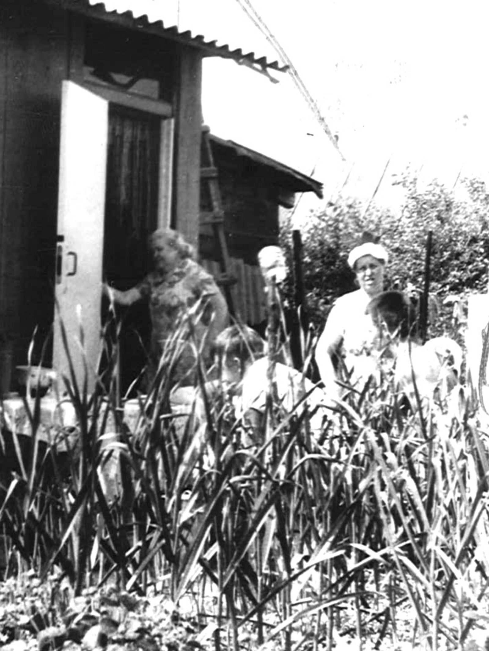 © Elena Taganova - Image from the Shadows of the Summer Wind photography project