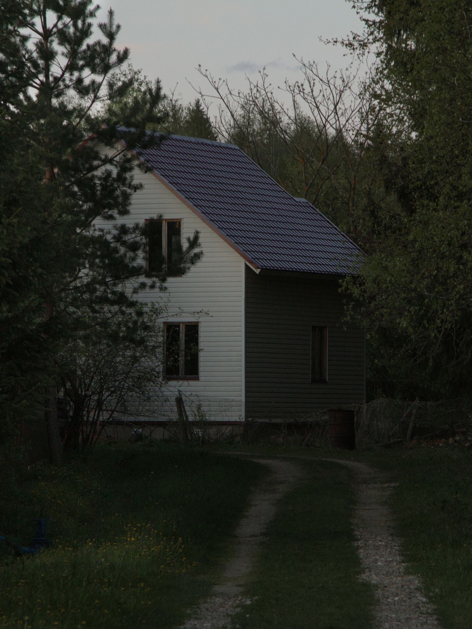 © Elena Taganova - Image from the Shadows of the Summer Wind photography project