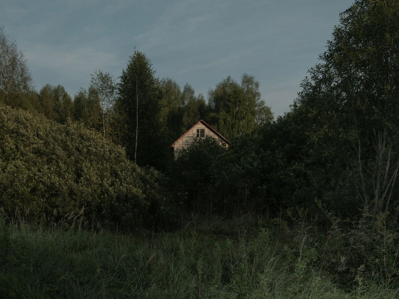 © Elena Taganova - Image from the Shadows of the Summer Wind photography project