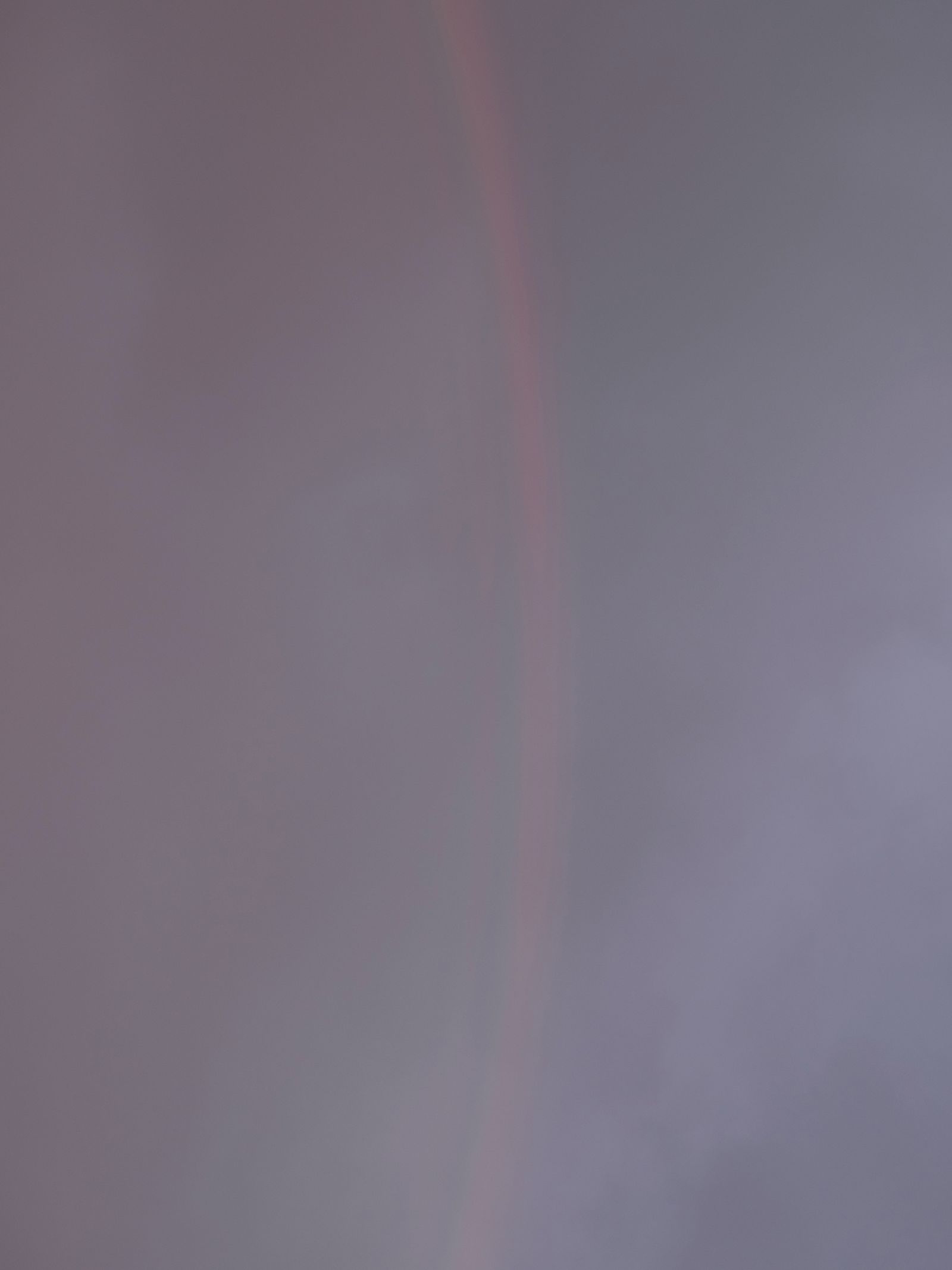 © Elena Taganova - Image from the Shadows of the Summer Wind photography project