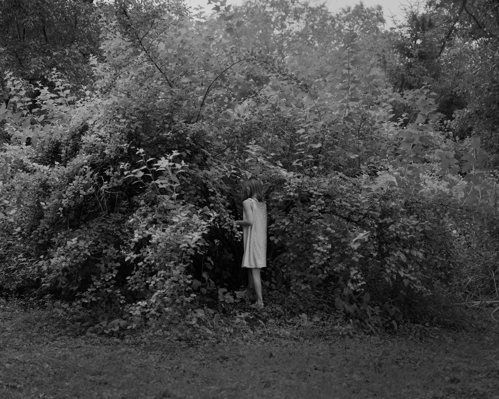 © Erinn Springer - Image from the Home Is Where The Garden Grows photography project