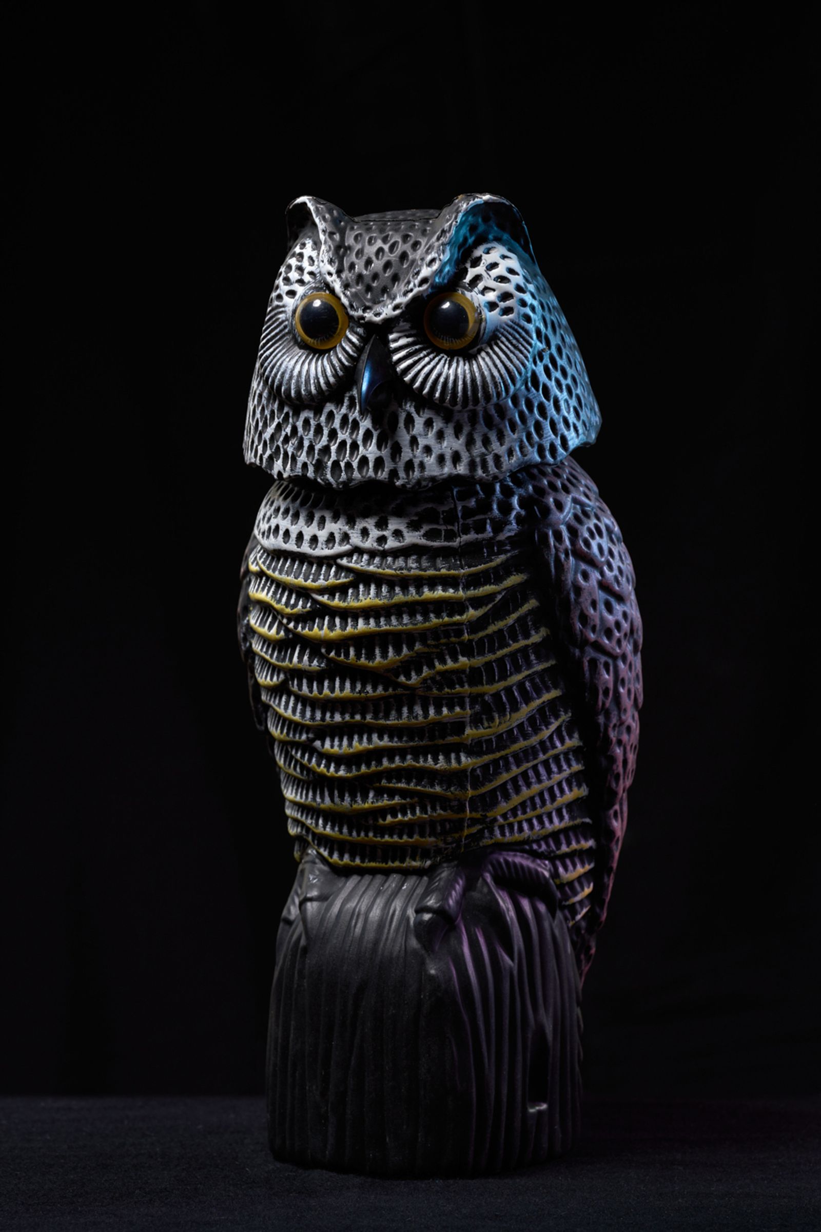 © Clelia Cadamuro - Image from the Acts of synantropism photography project