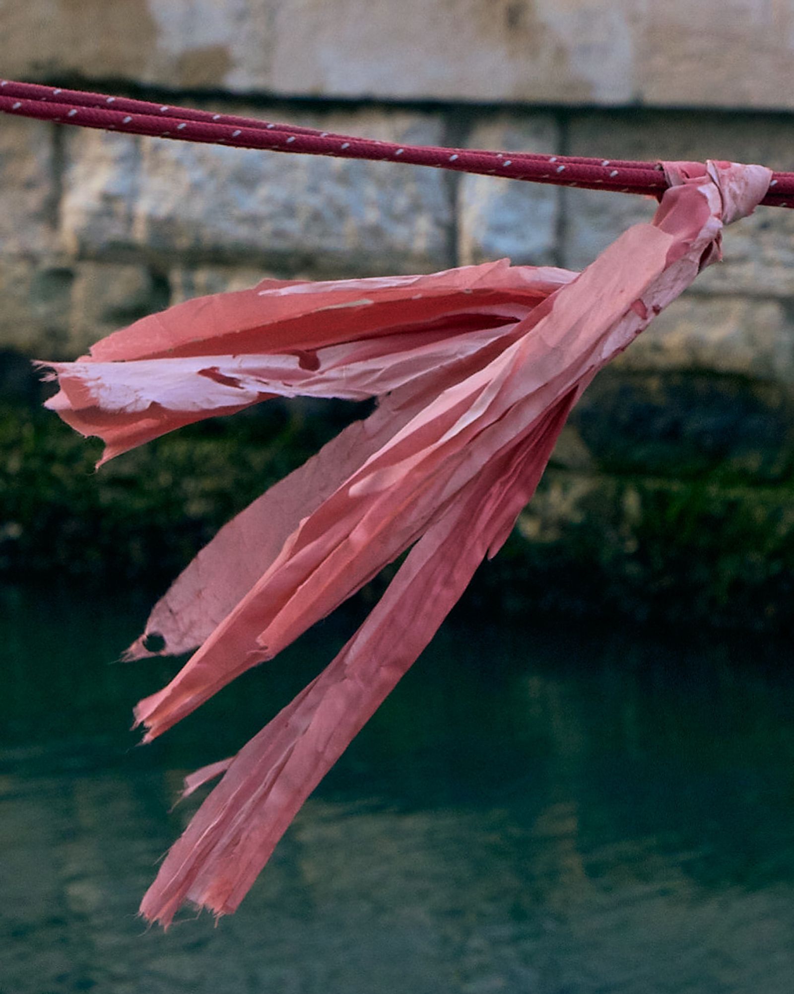 © Clelia Cadamuro - Image from the Acts of synantropism photography project
