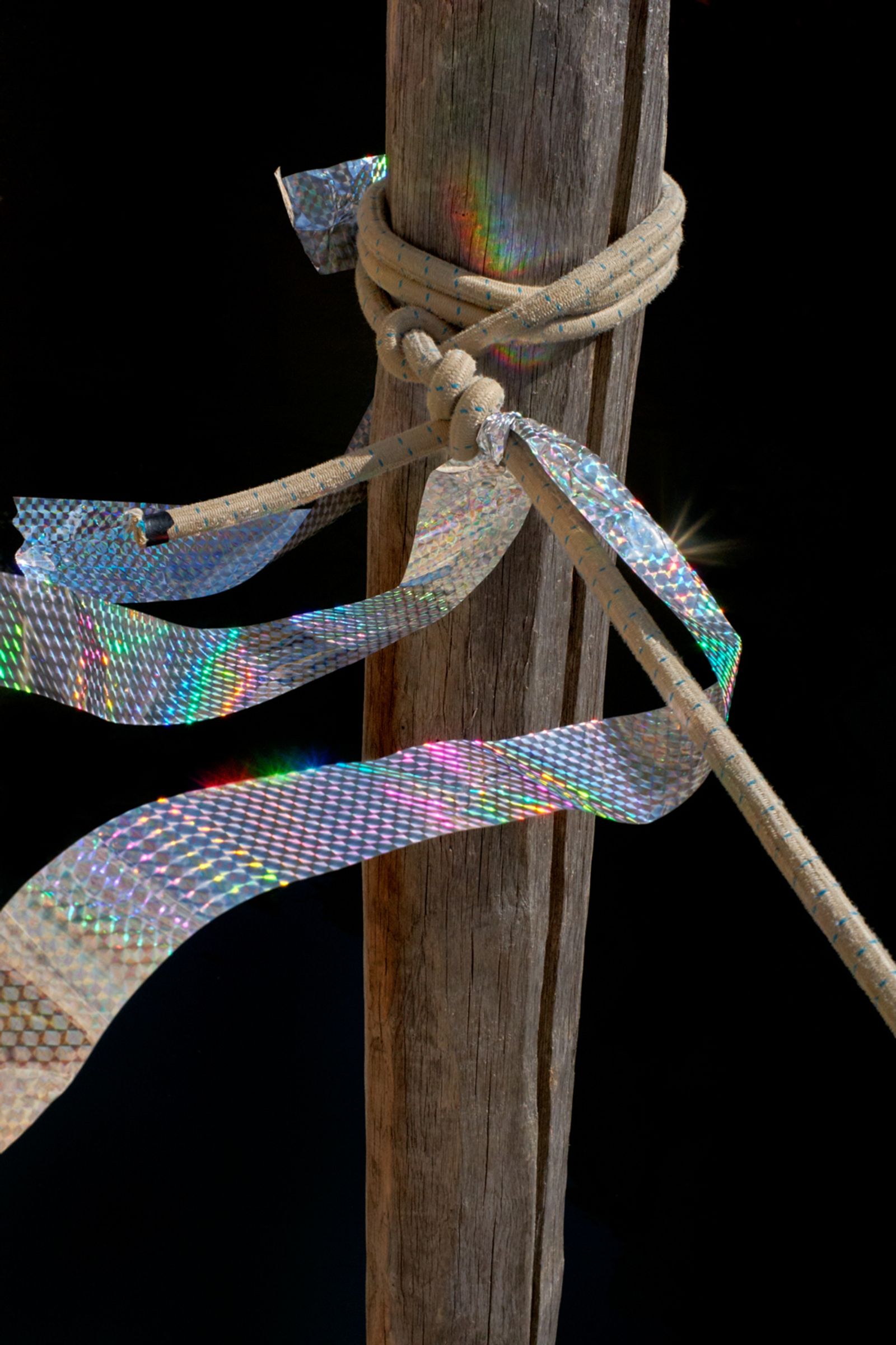 © Clelia Cadamuro - Image from the Acts of synantropism photography project