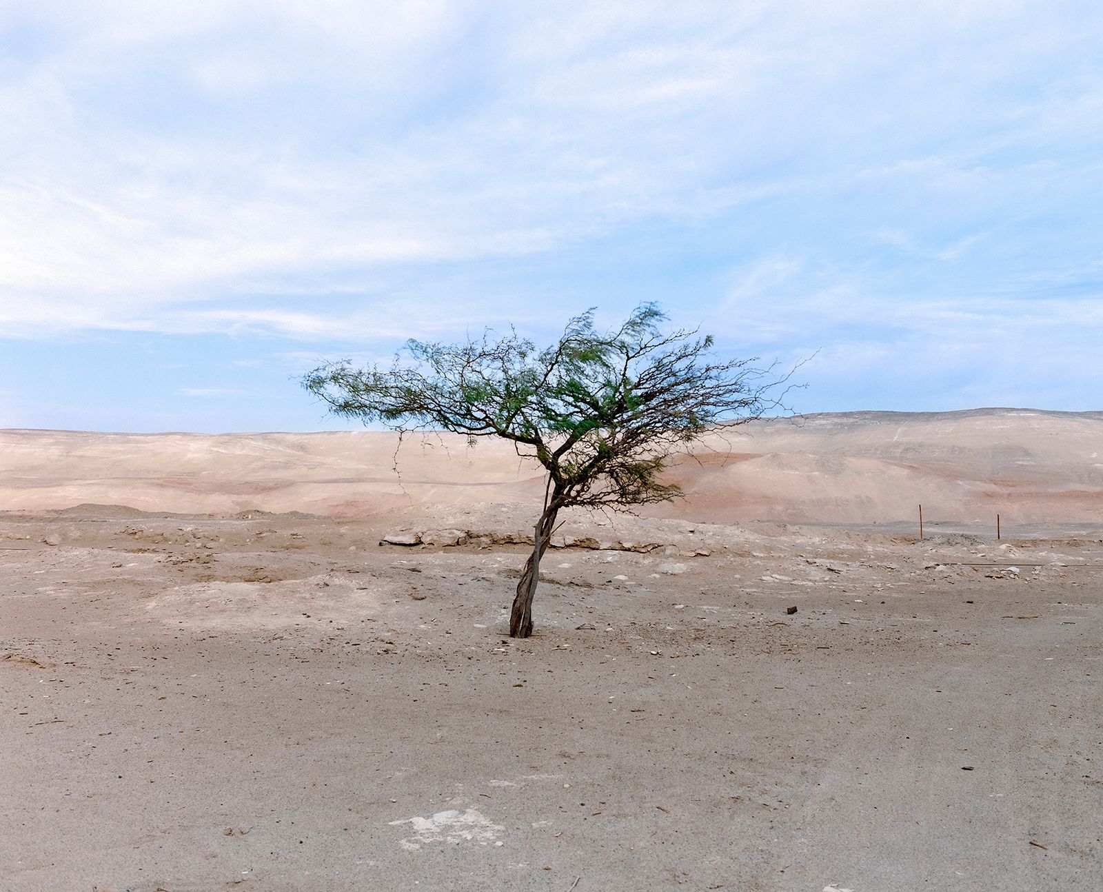 © Gaspar Abrilot - Image from the In the shade of the carob trees photography project