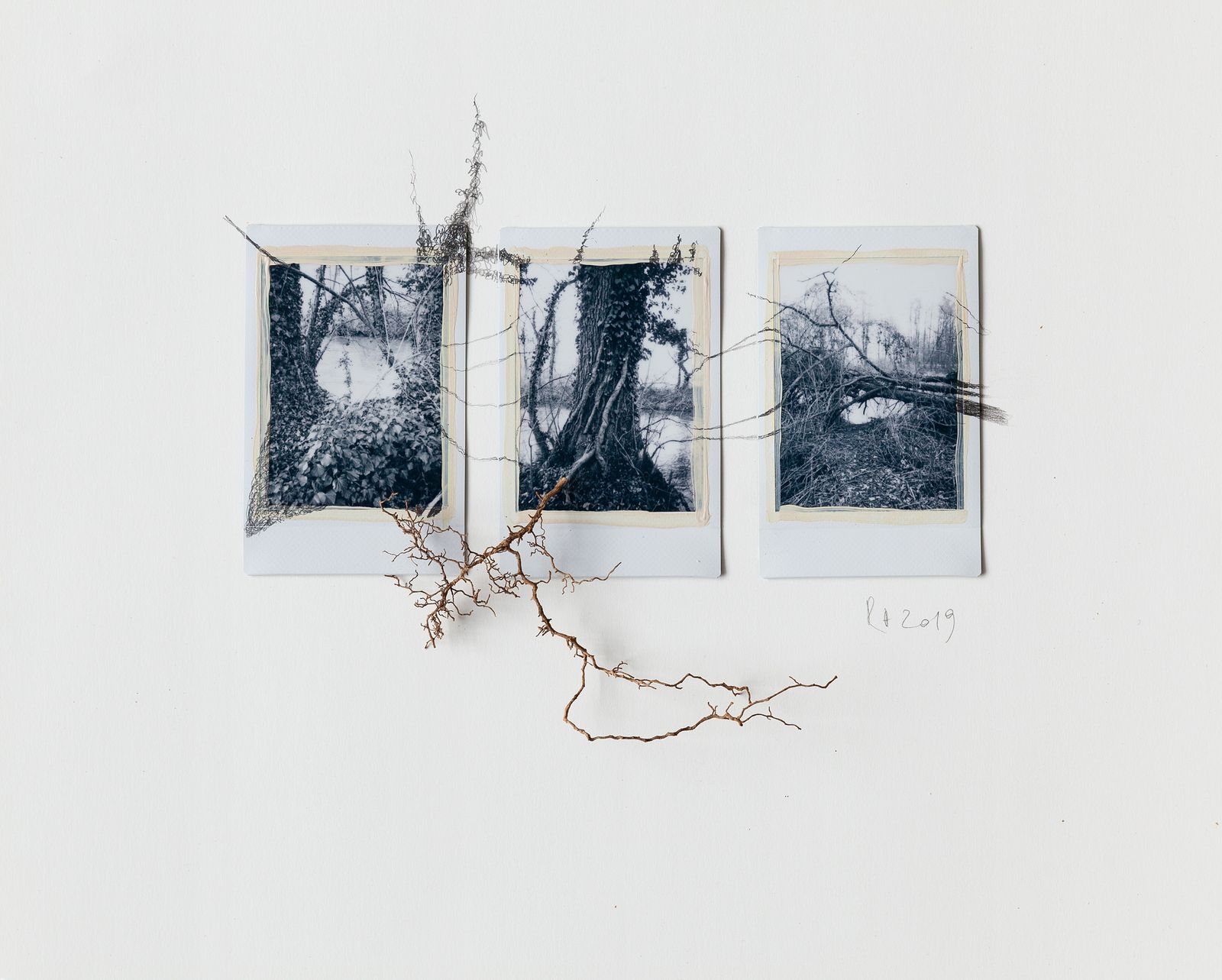 © Regina Anzenberger - Image from the SHIFTING ROOTS photography project