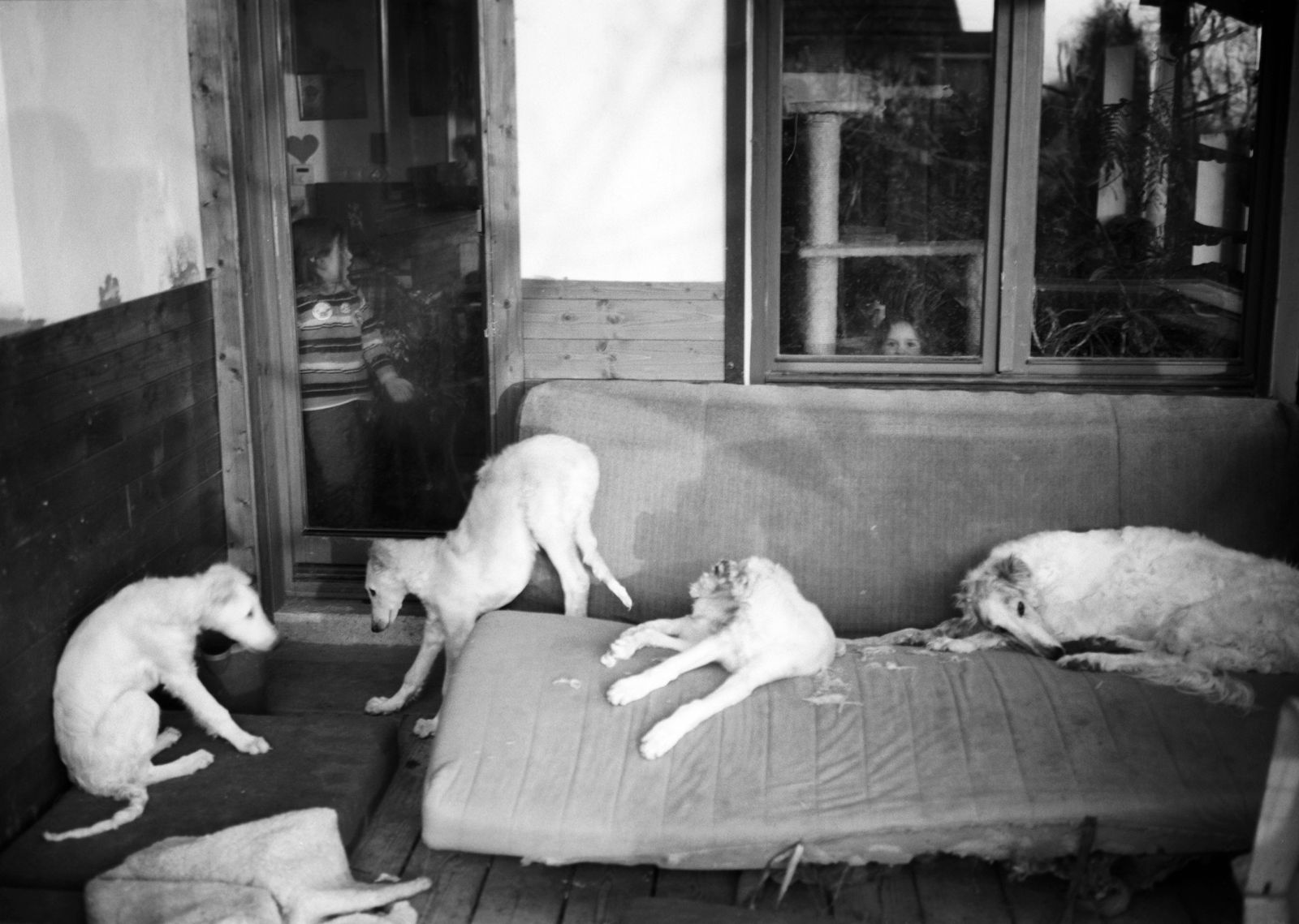 © Adam Kencki - Image from the house at hundred cats photography project
