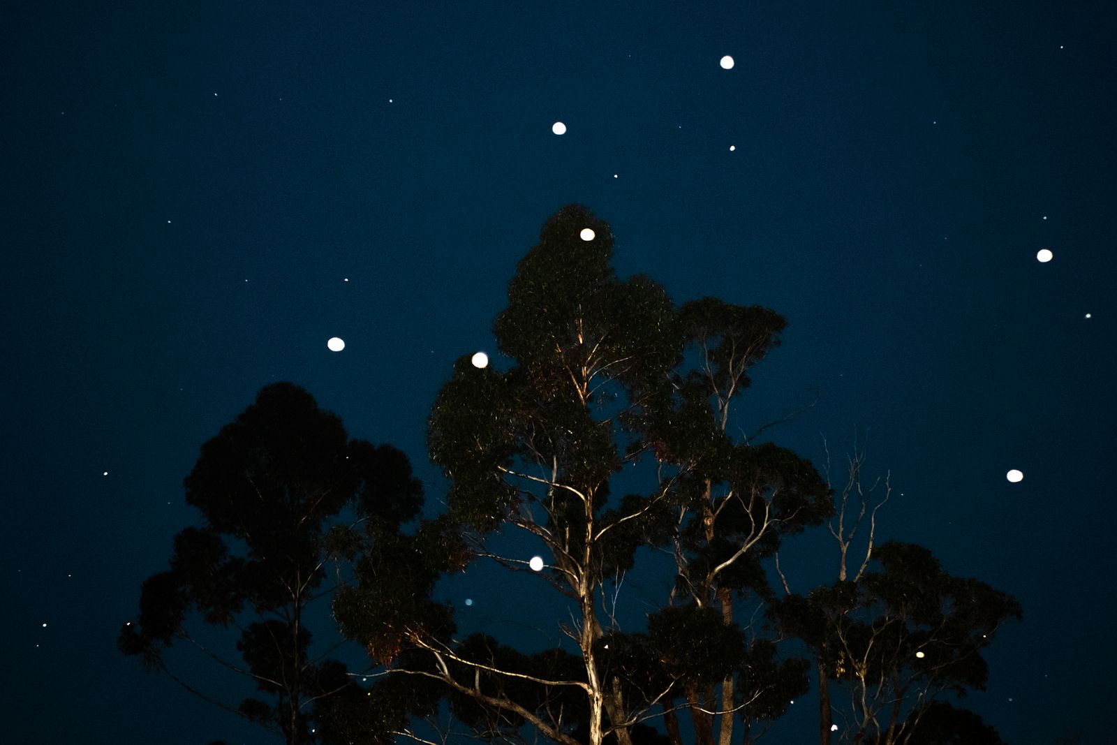 © Starry Kong - Image from the You can't walk this earth forever. Someday you will have to fly. photography project