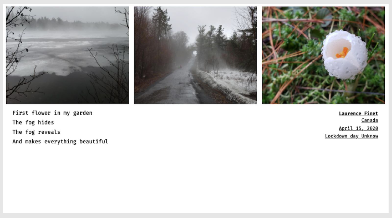 © Sandra Gaudenzi and Sandra Tabares Duque - Image from the Corona Haikus photography project