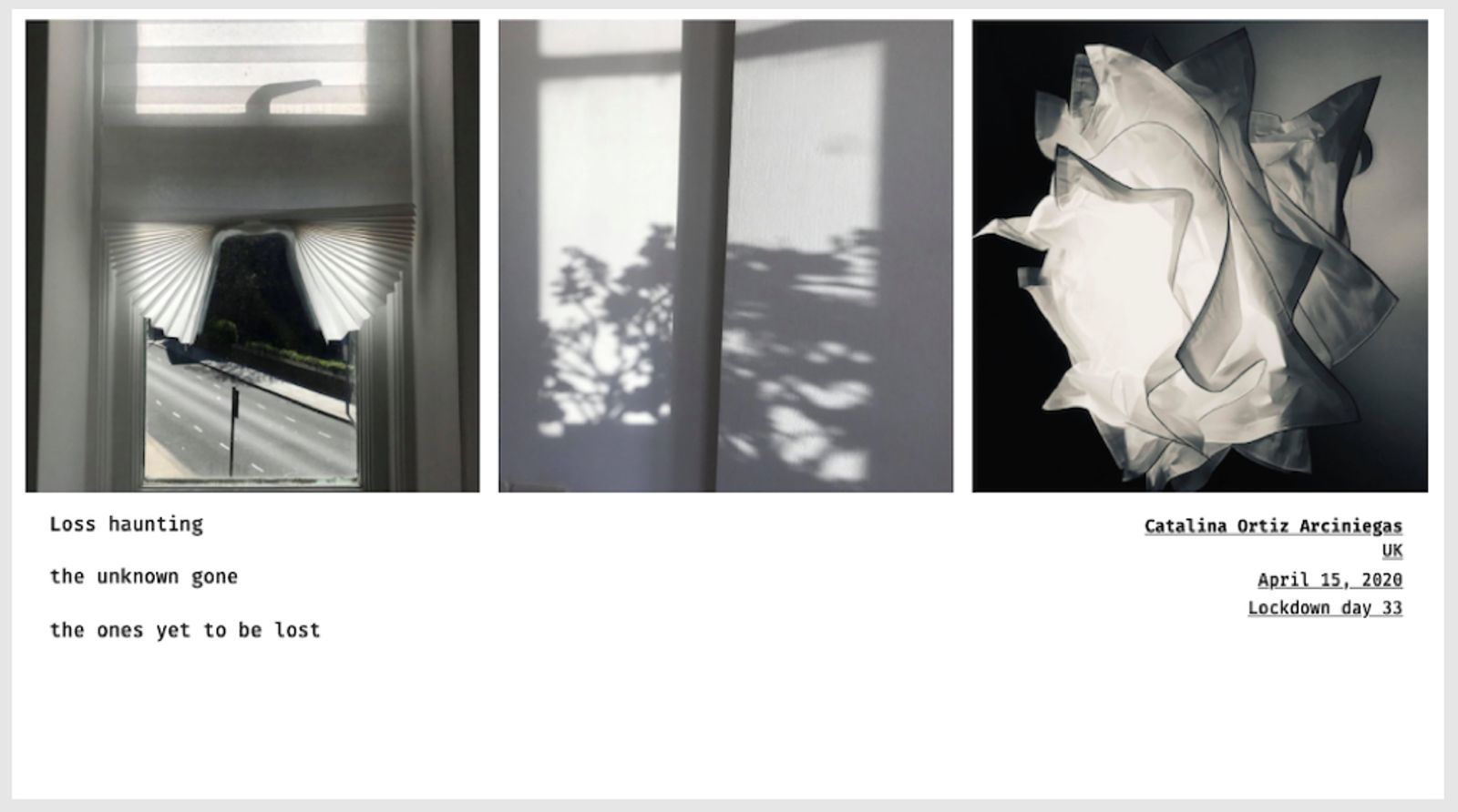 © Sandra Gaudenzi and Sandra Tabares Duque - Image from the Corona Haikus photography project