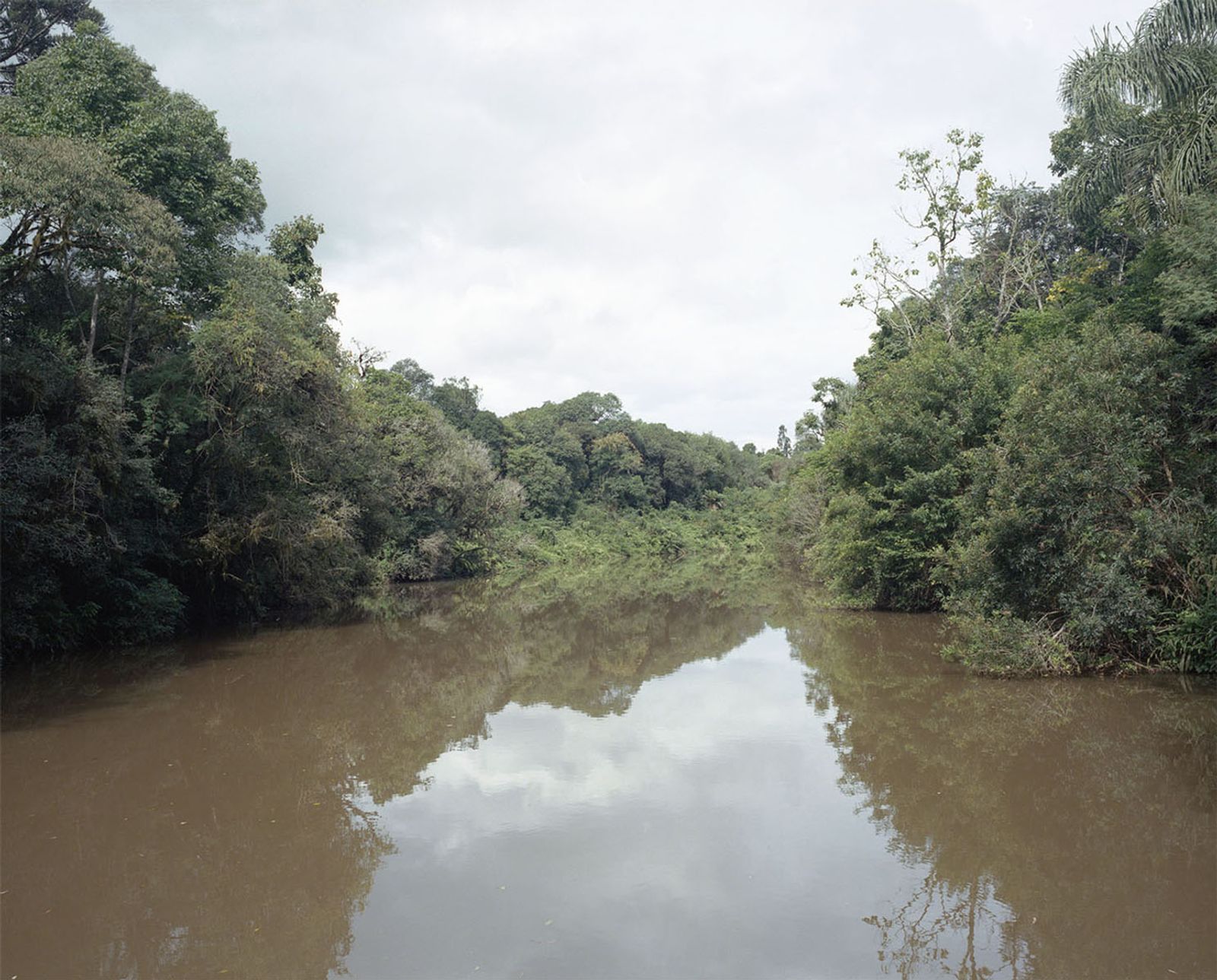 © Katarzyna and Marianne Wasowska - Rio claro, Mallet, Parana, Brazil