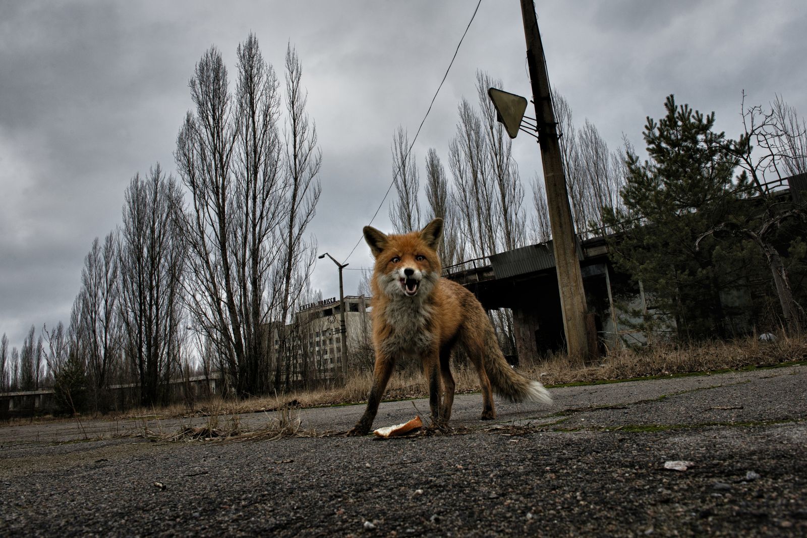 © Pierpaolo Mittica - Image from the Chernobyl Fractures photography project