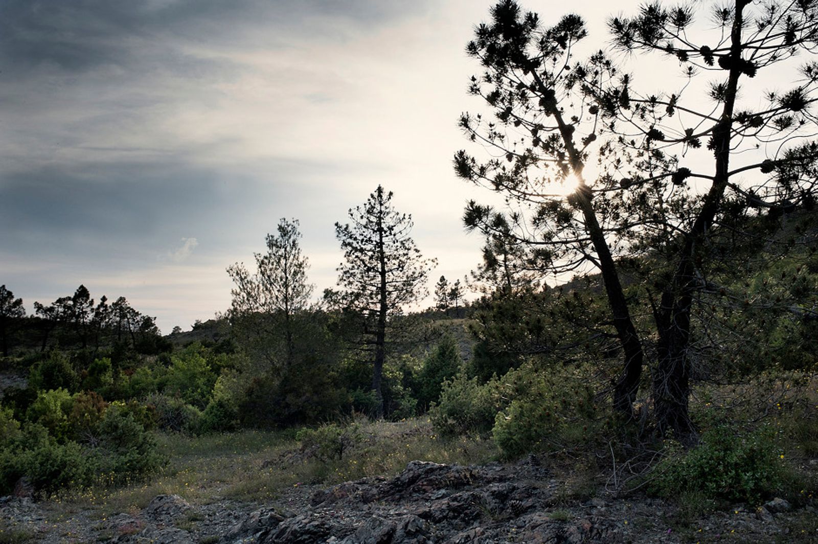 © Vancon Laetitia - Place where Simon Vukaj, the brother of Noja, was killed on the 14th of May 1994. North of Bardhaj.