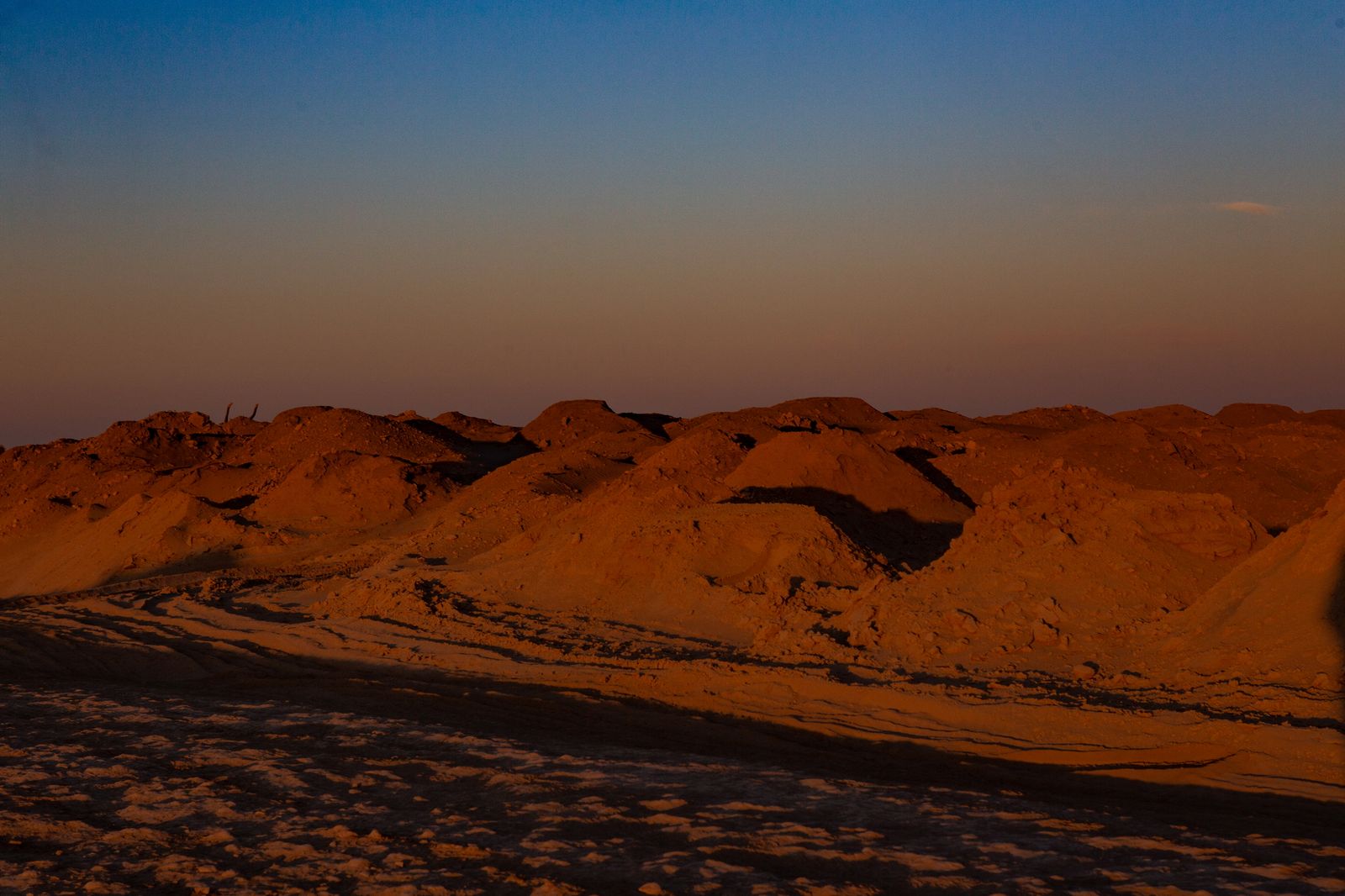 © Iulia Galushina - The former bottom of the Aral Sea in Uzbekistan.