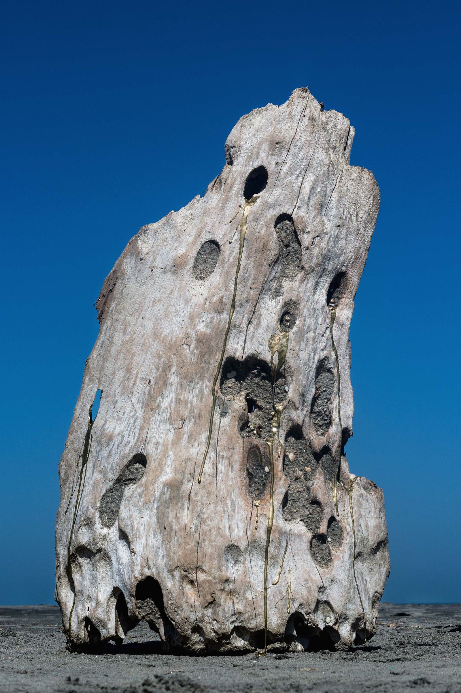 © Raisa Galofre - Image from the in the beginning was the sea photography project