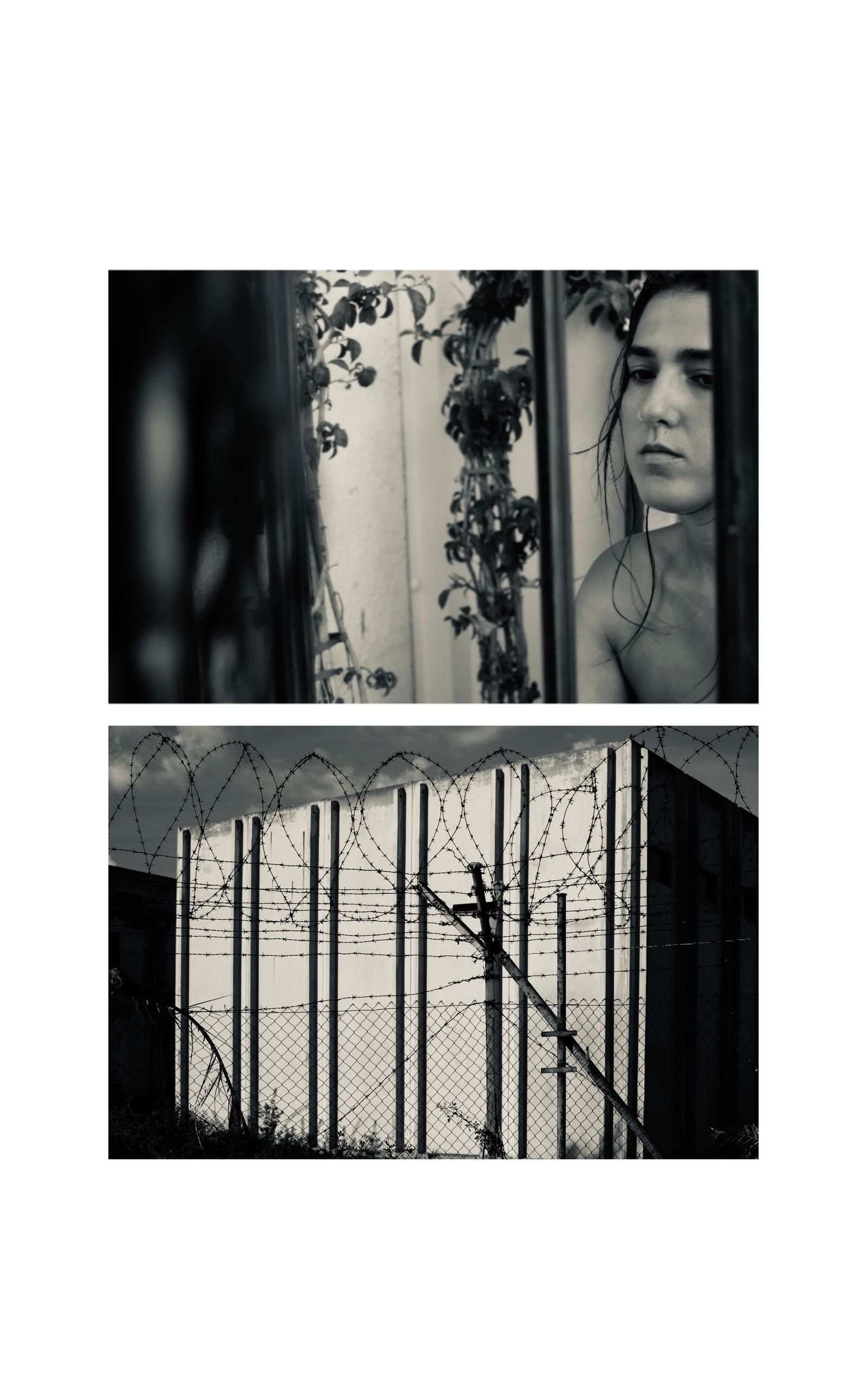 © Teresa Pes - Concrete carcasses