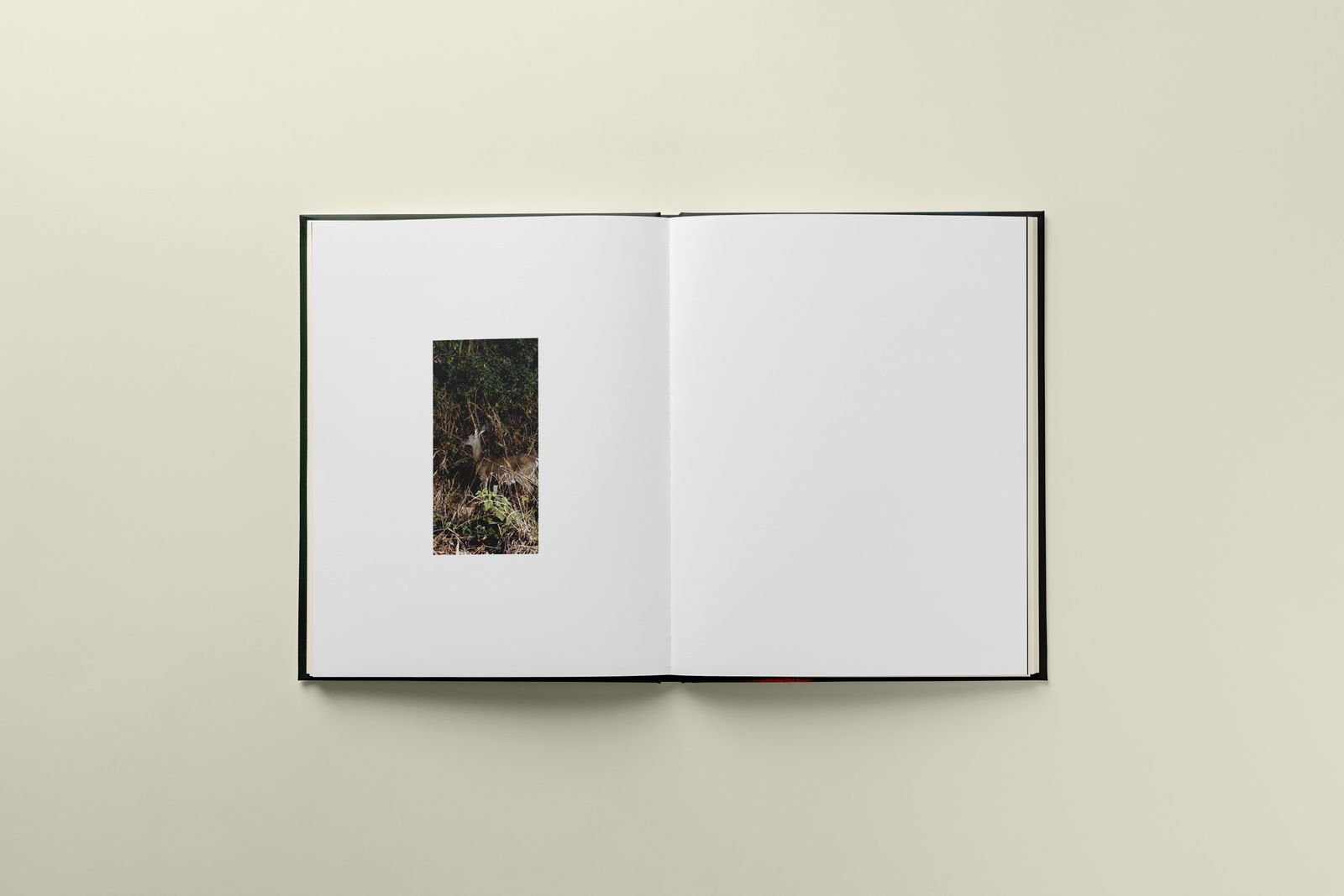 © Romane Bladou - Image from the Pins and Needles photography project