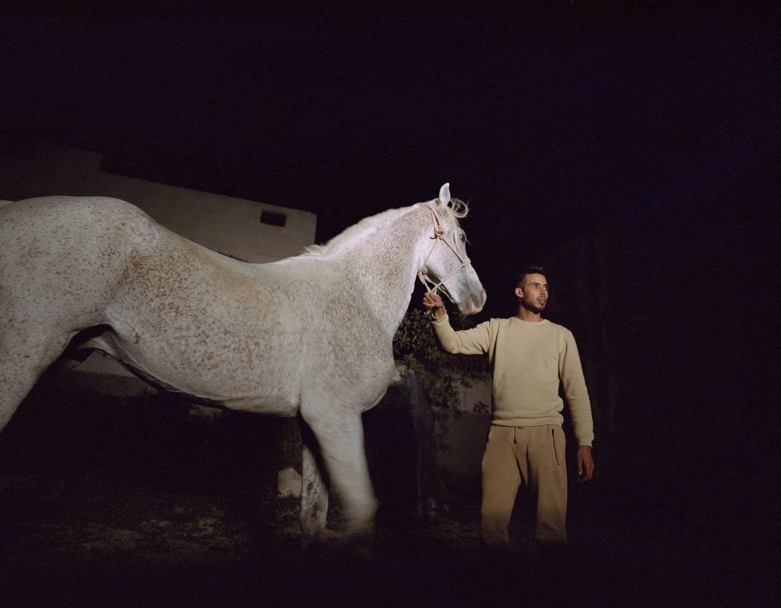 © Sophie Ebrard - Image from the They are not afraid of riding stallions photography project