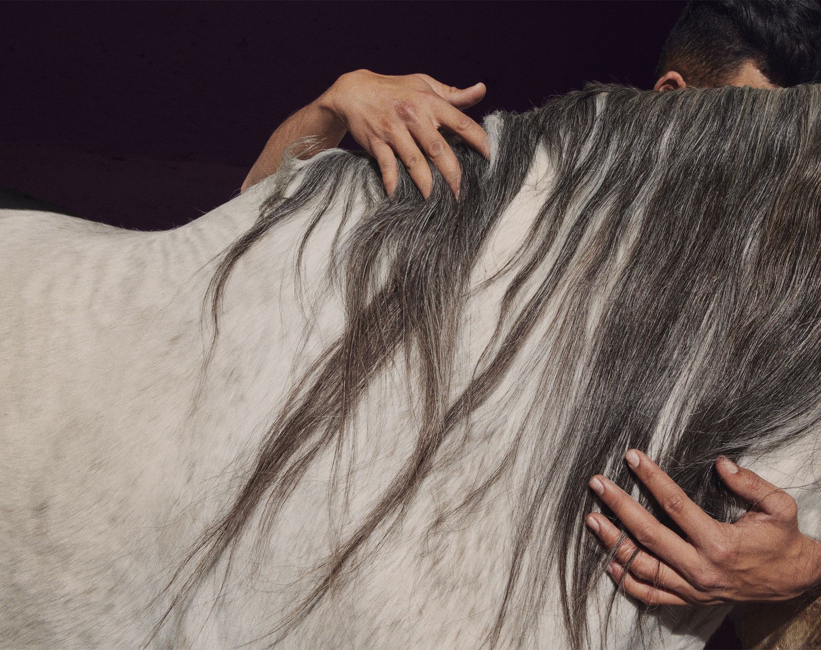 © Sophie Ebrard - Image from the They are not afraid of riding stallions photography project