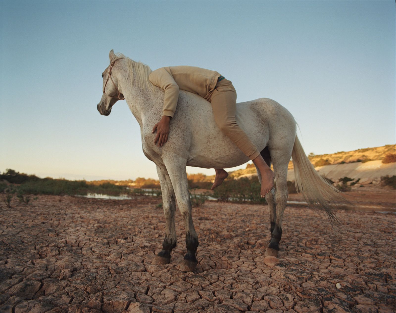 © Sophie Ebrard - Image from the They are not afraid of riding stallions photography project