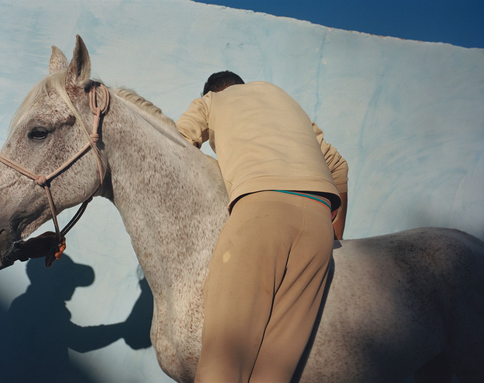 © Sophie Ebrard - Image from the They are not afraid of riding stallions photography project