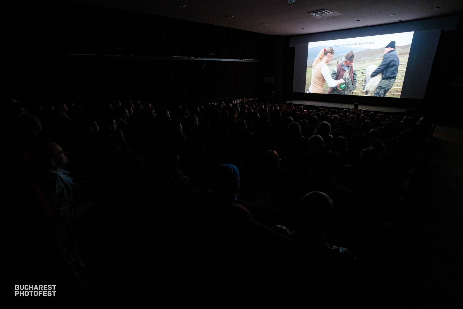 Bucharest Photofest 2024