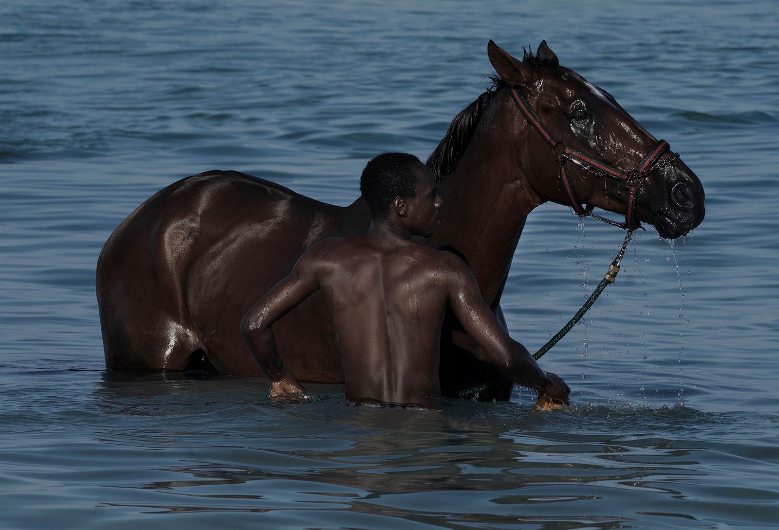 © Maroesjka Lavigne - Race Horse, Barbados, 2017