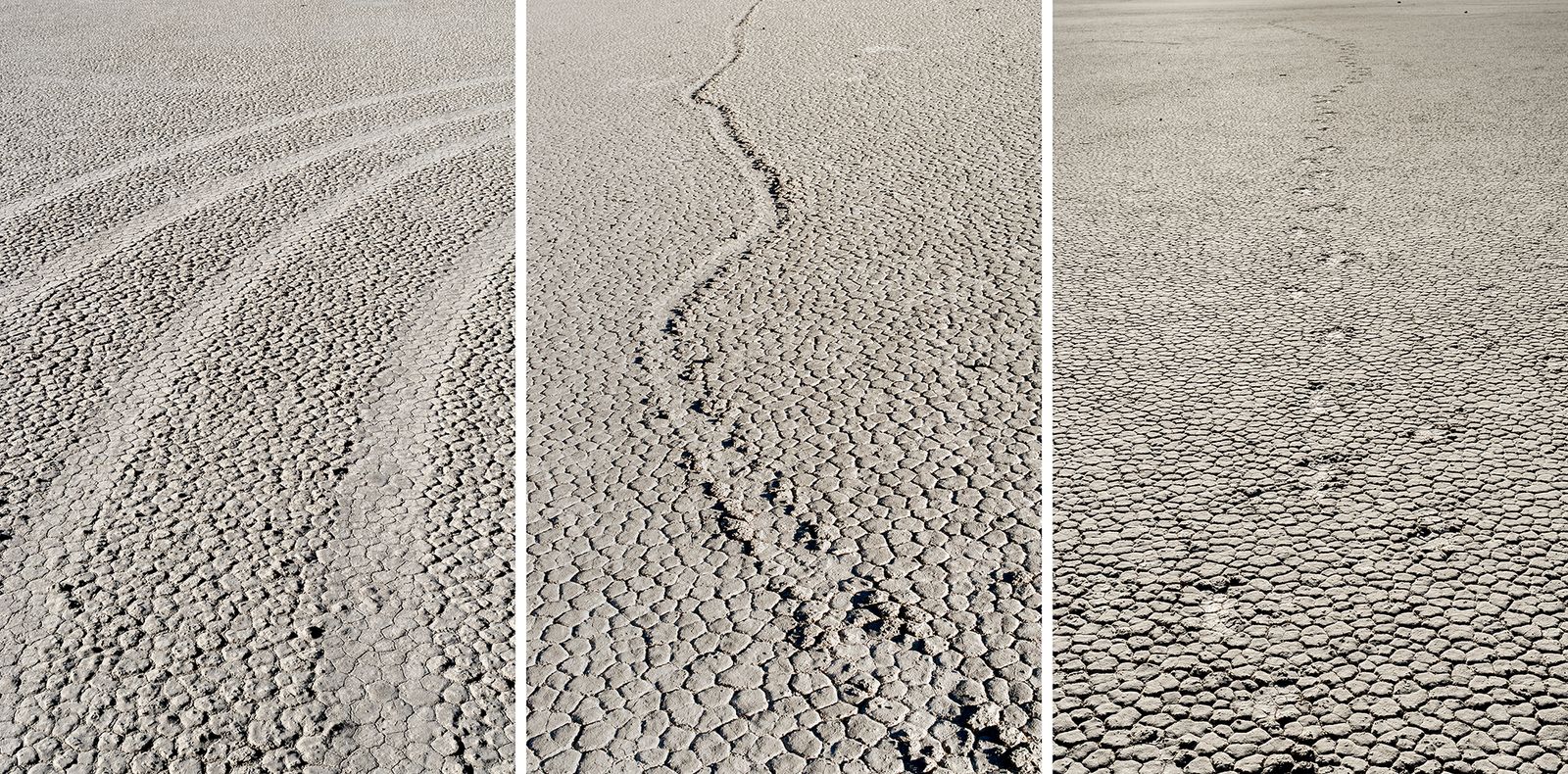© Nancy Floyd - Desert Trinity (tire marks, moving rock trail, footprints)