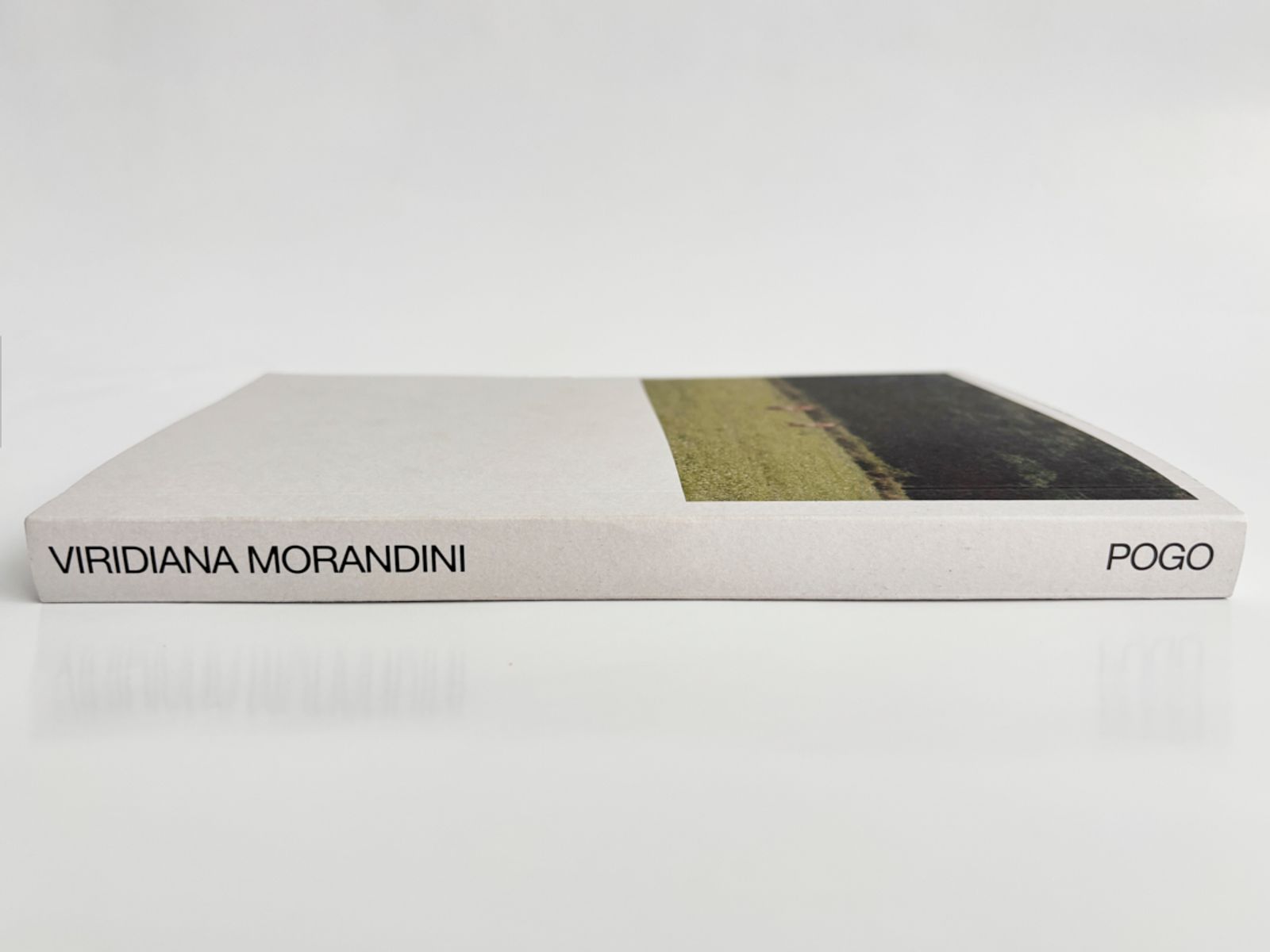 © Viridiana Morandini - Image from the POGO photography project