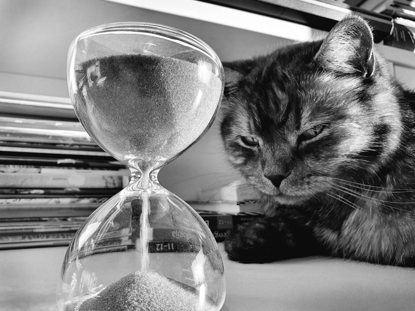 © Urtė Baltrušytė - Giliukas. Lazy to study.