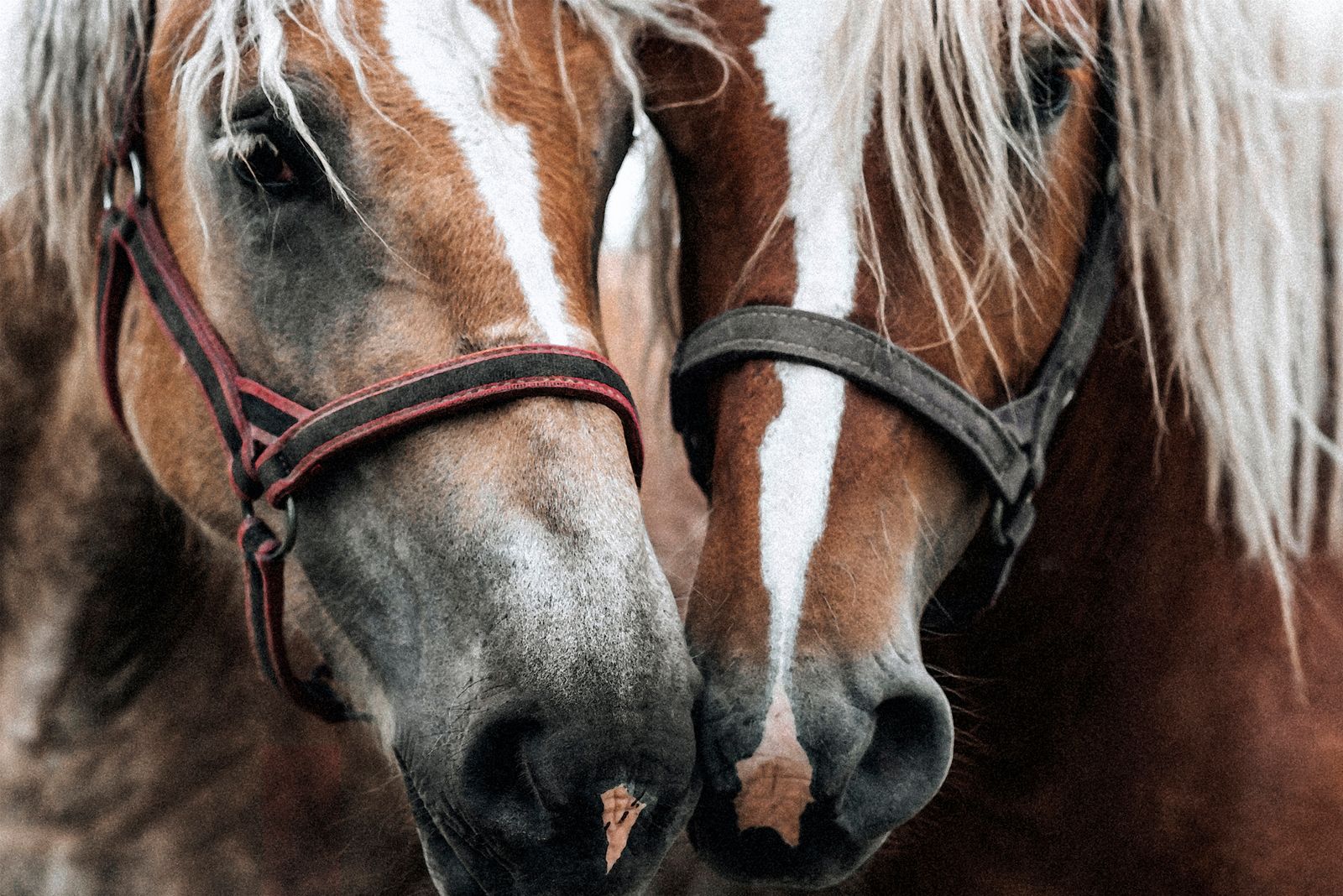 © Urtė Baltrušytė - Proximity