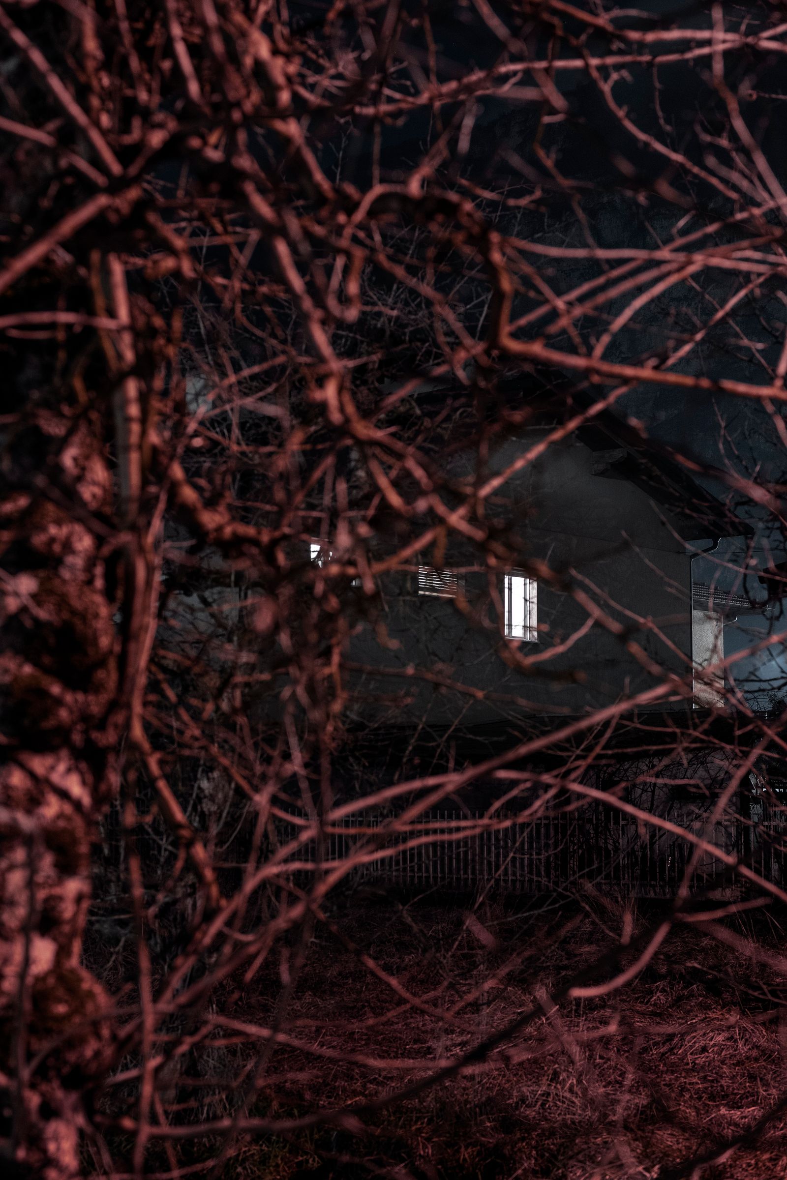 © Valentina Casalini - Image from the Some of these days, you'll miss me honey photography project