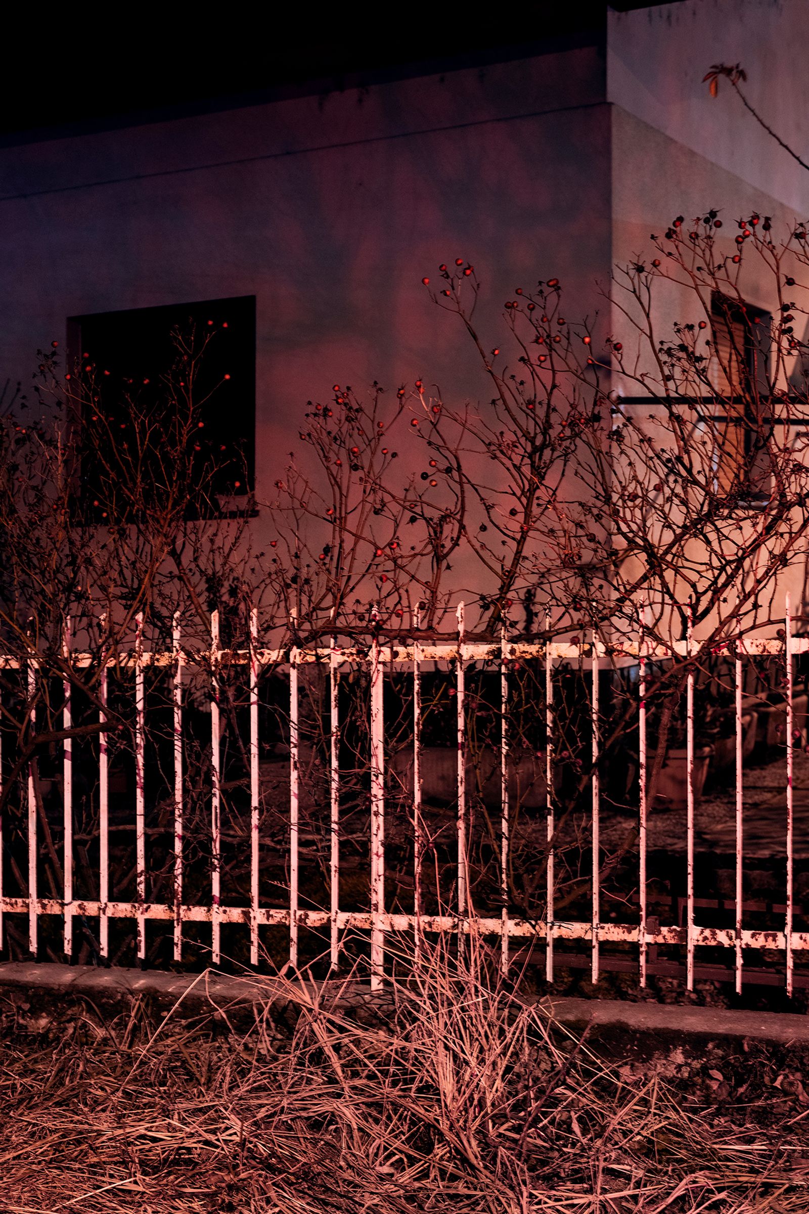 © Valentina Casalini - Image from the Some of these days, you'll miss me honey photography project