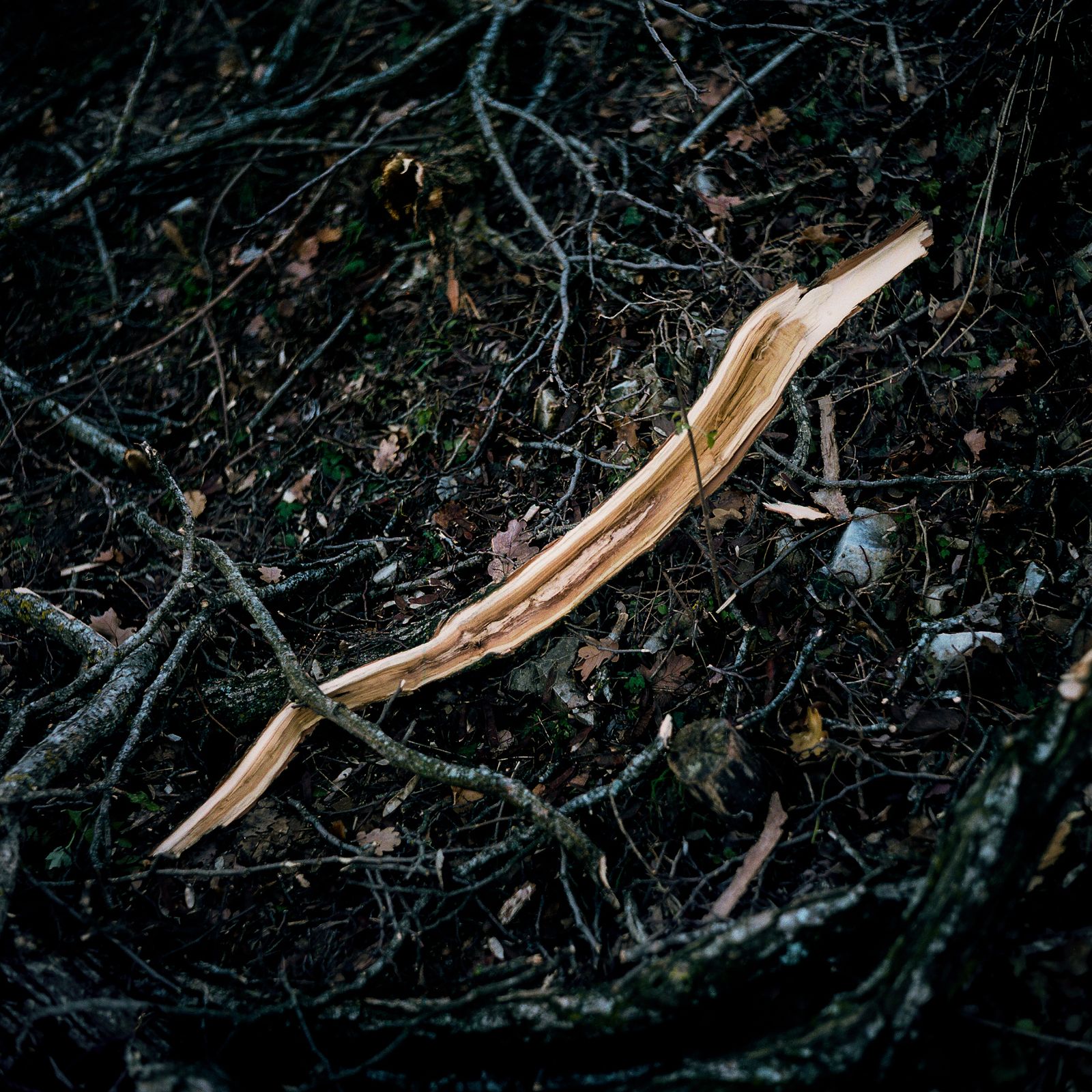 © camilla piana - Image from the The roots are oriented towards water photography project