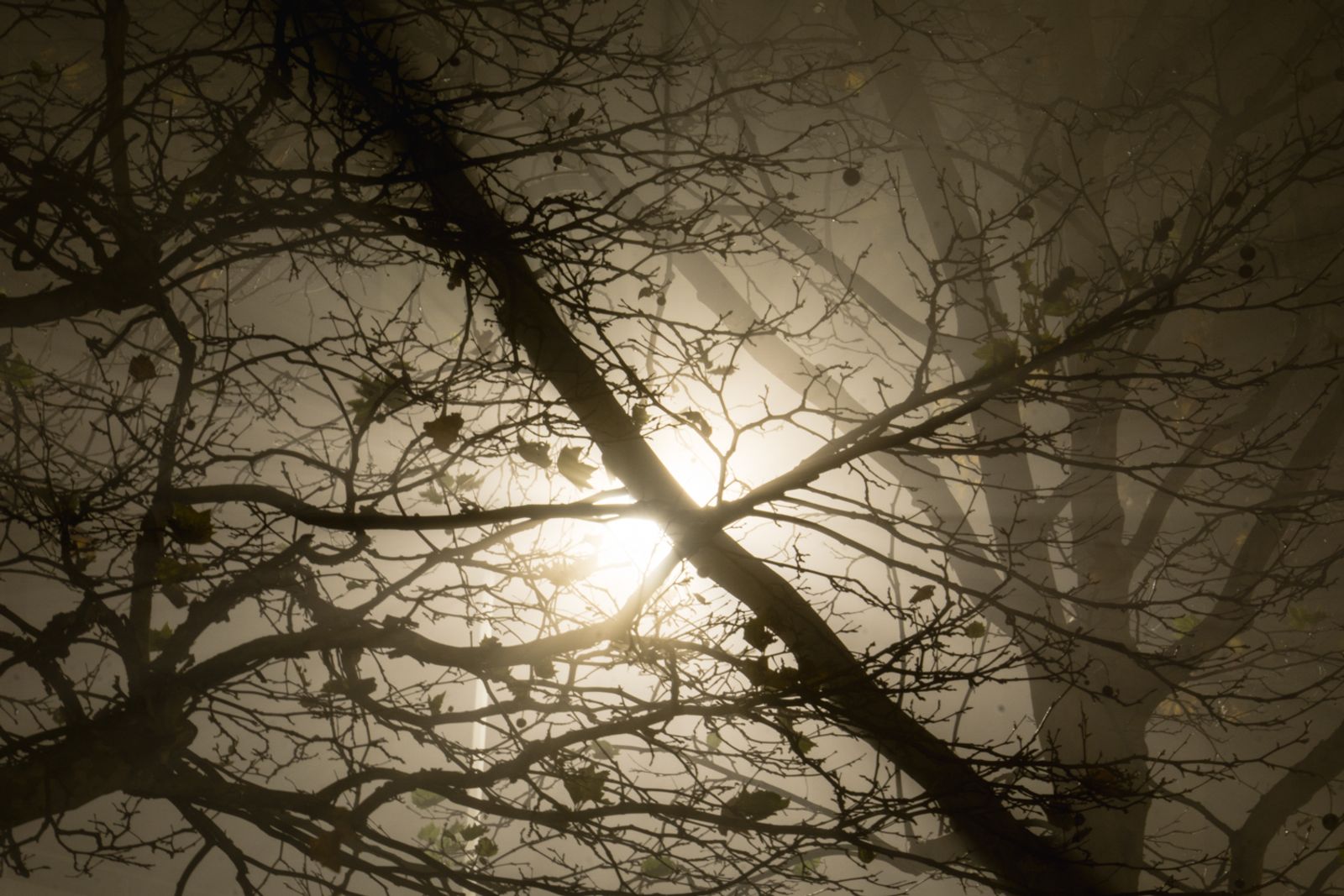 © Jessica Bizzoni - Extending the day