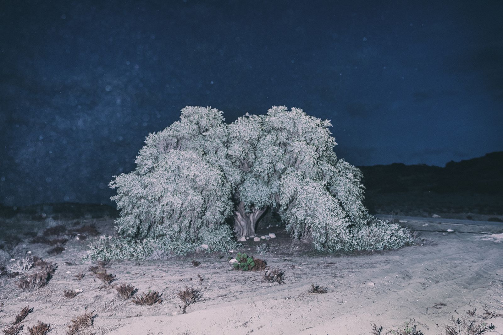 © Yorgos Yatromanolakis - Image from the The Splitting of the Chrysalis and the Slow Unfolding of the Wings photography project