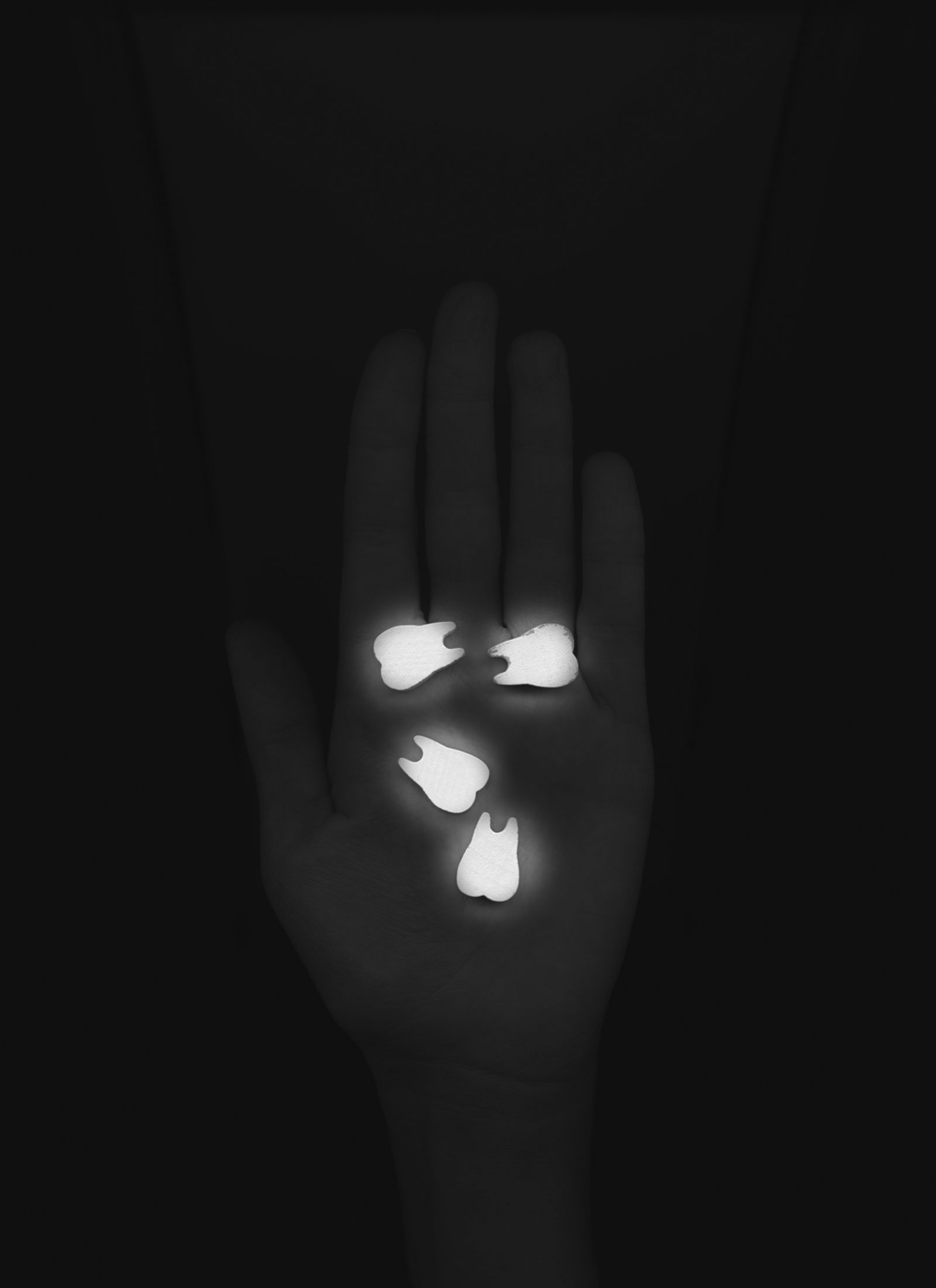 © Lisa Gervassi - Image from the Odontophilia photography project