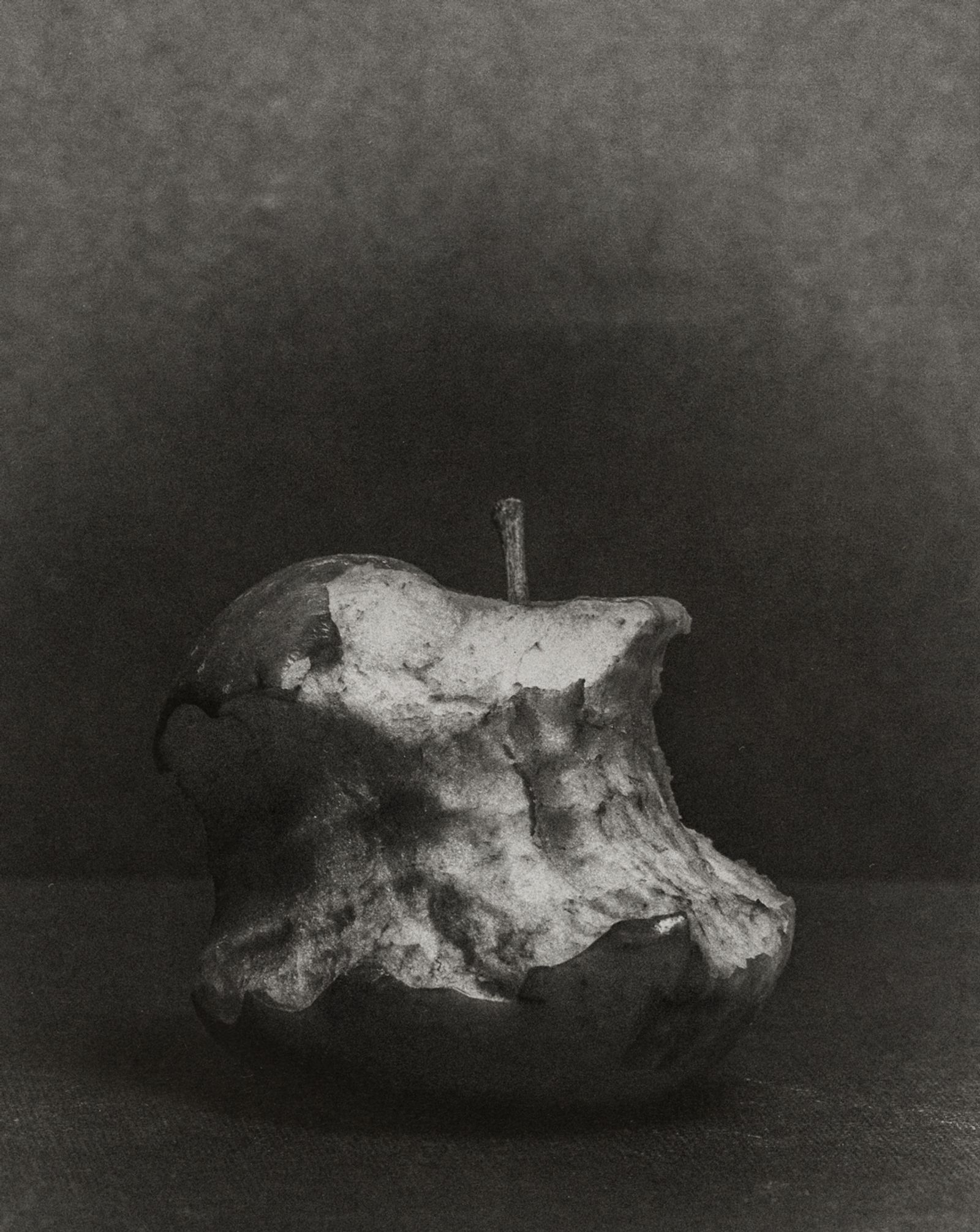 © Lisa Gervassi - Image from the Odontophilia photography project