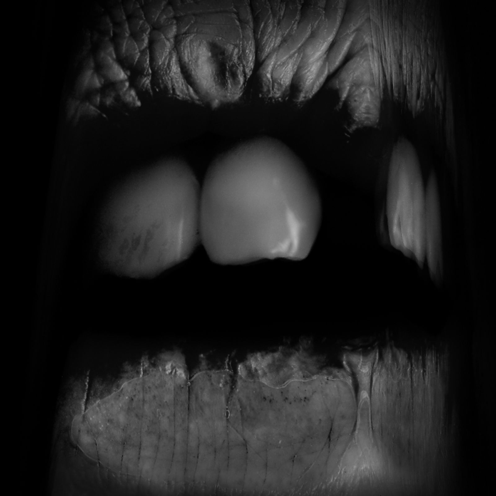© Lisa Gervassi - Image from the Odontophilia photography project
