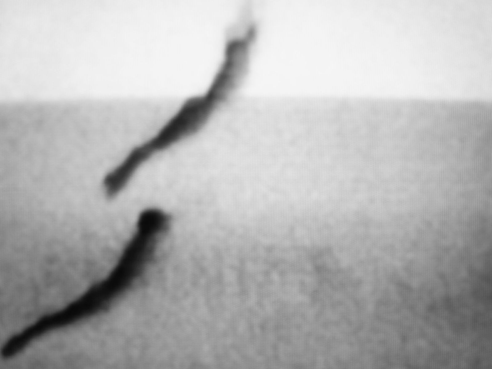 © Michele Brancati - Image from the Agua photography project