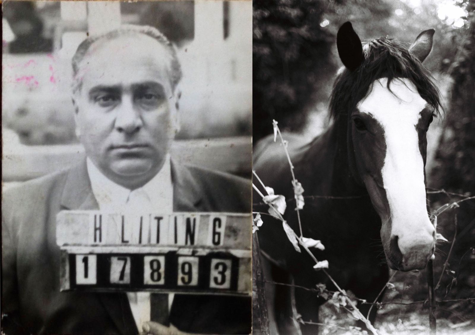 © Mayra Kamil Littin - Image from the Linaje Dorado photography project