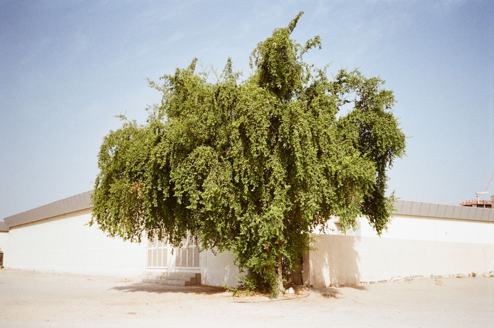 © Hind Mezaina - Image from the Dubai photography project