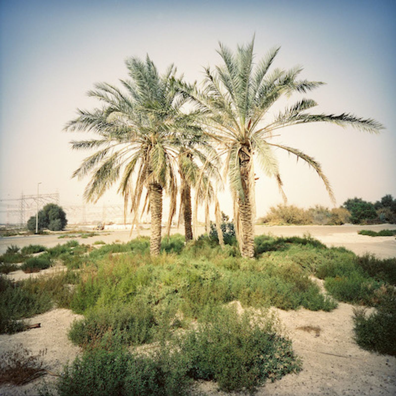 © Hind Mezaina - Image from the Wonder Land photography project