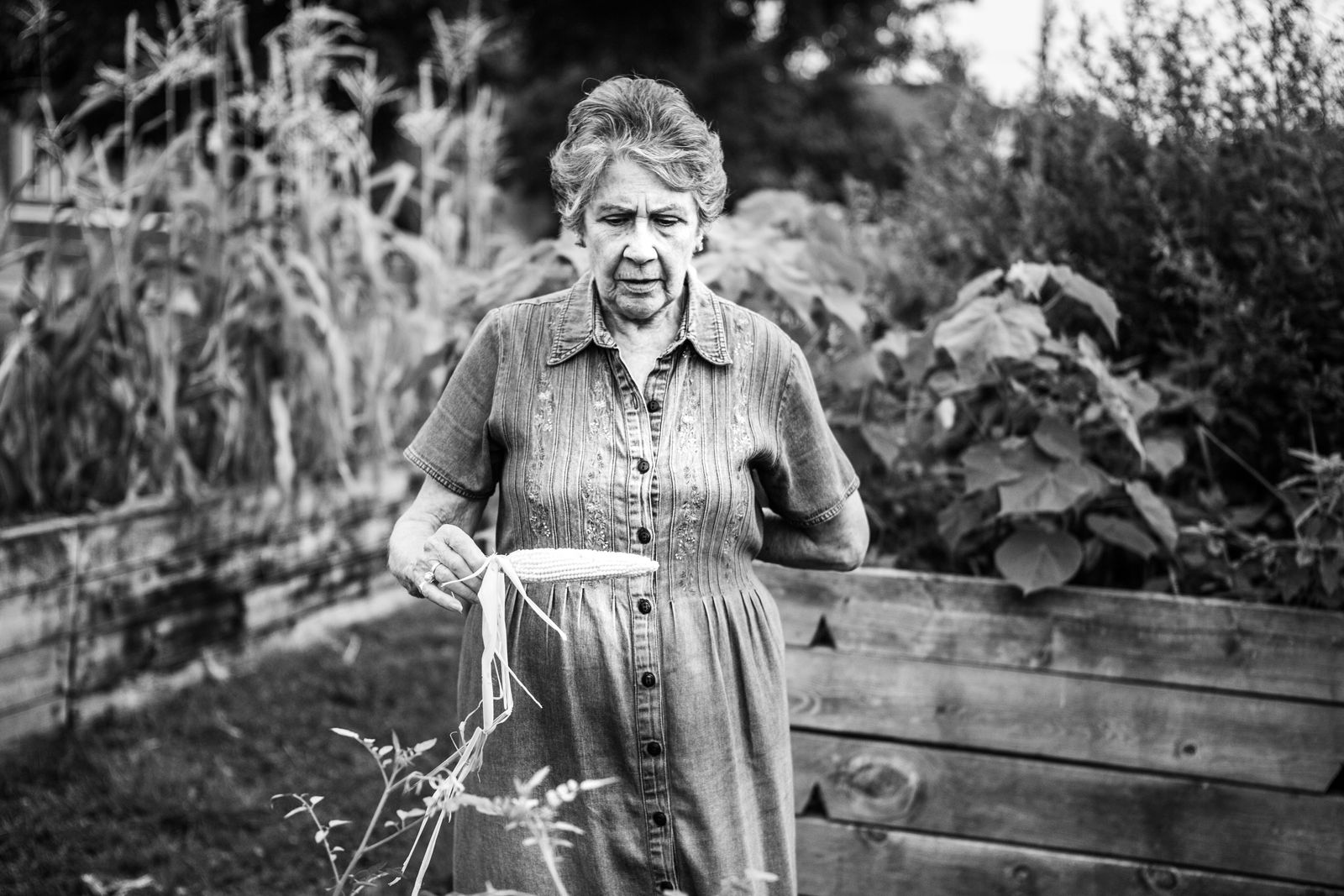 © JANICE MILHEM - Ursula contemplates the progress of her corn crop.