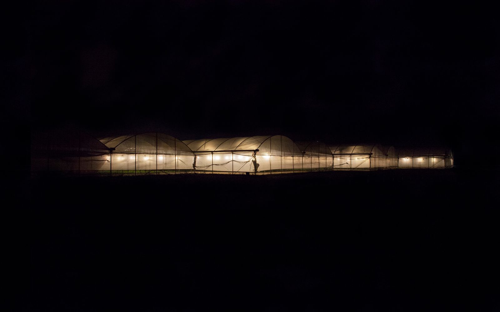 © Alessia Rollo - Image from the Fata Morgana photography project
