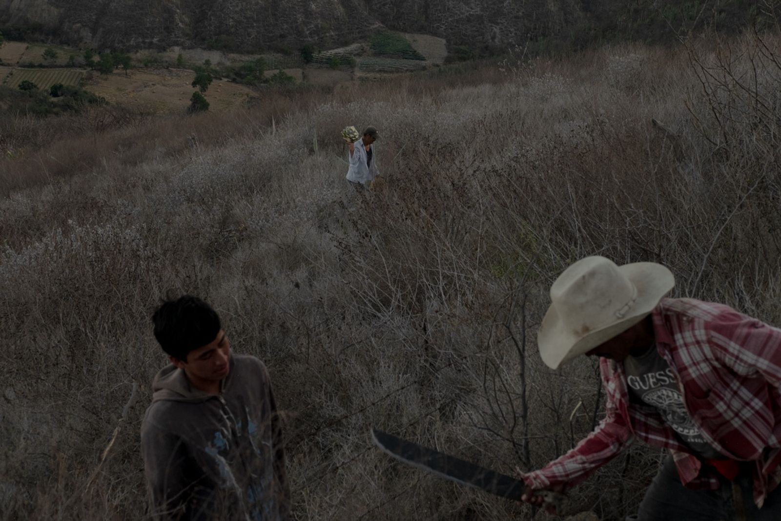 © Frédérique Gélinas - Image from the The Time of Agave photography project