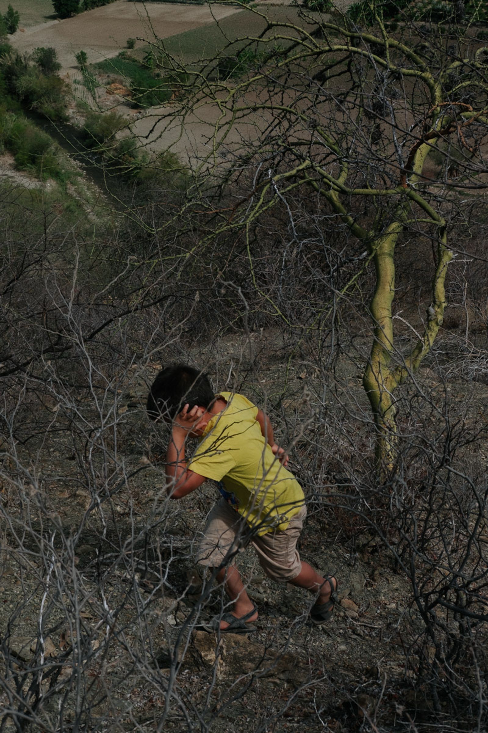 © Frédérique Gélinas - Image from the The Time of Agave photography project